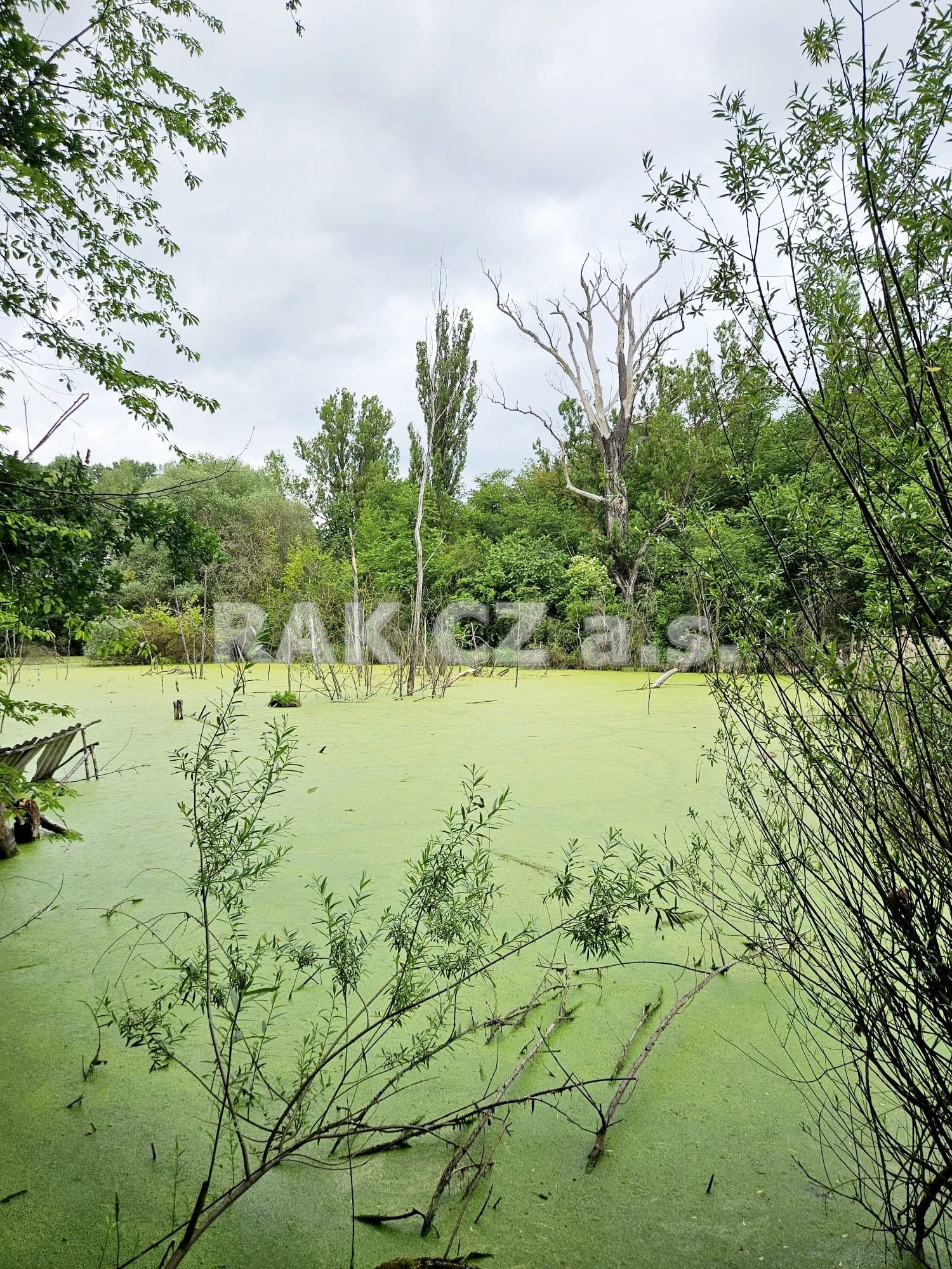 Prodej nemovitosti 47568 m² - foto 12