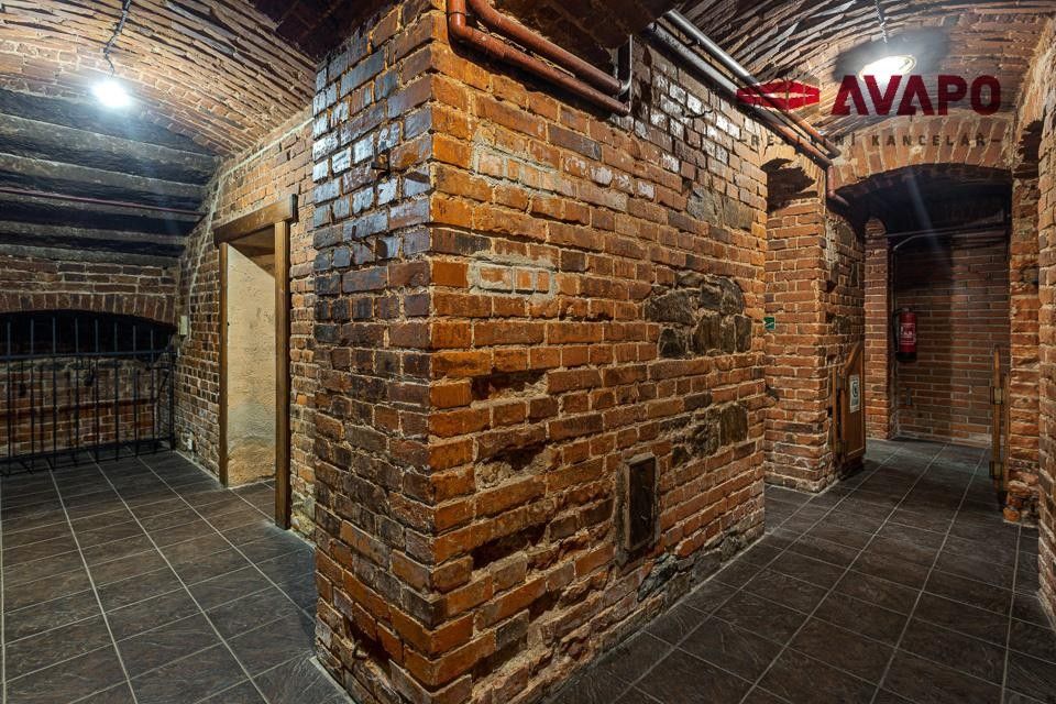 Prodej komerčního prostoru 166 m² - foto 13