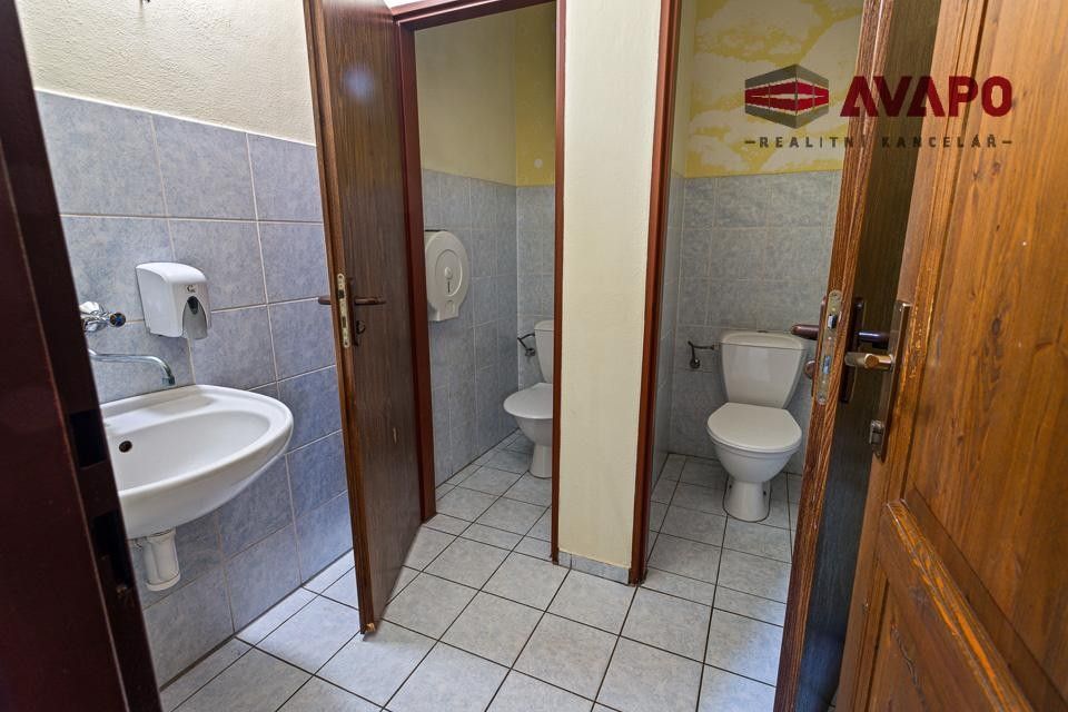 Prodej komerčního prostoru 166 m² - foto 15