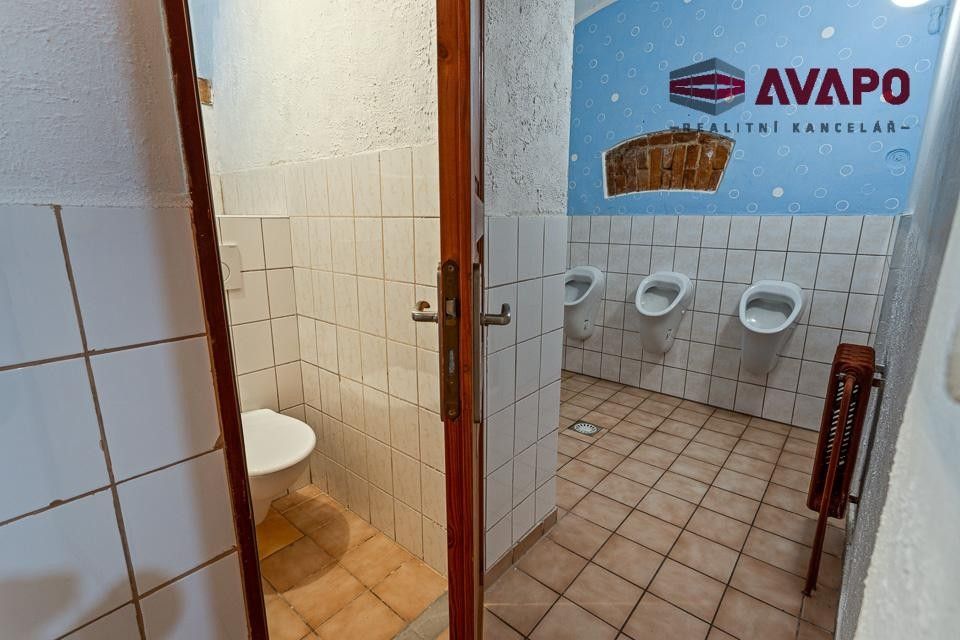 Prodej komerčního prostoru 166 m² - foto 16