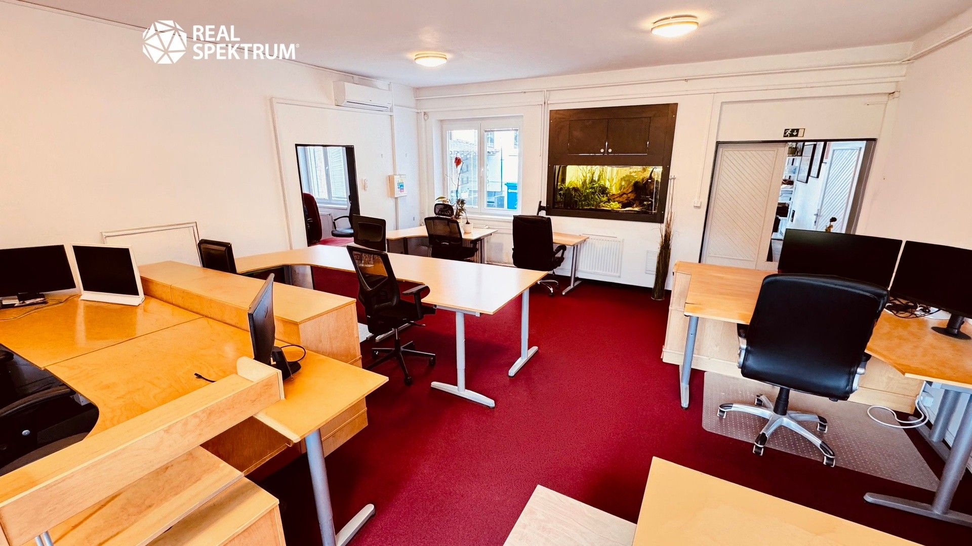 Pronájem komerčního prostoru 407 m² - foto 4