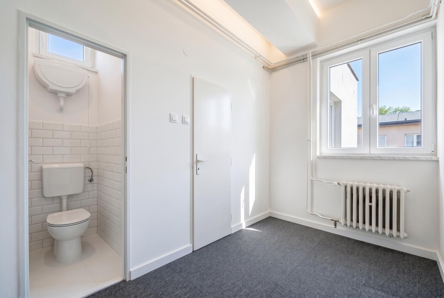 Pronájem komerčního prostoru 219 m² - foto 6
