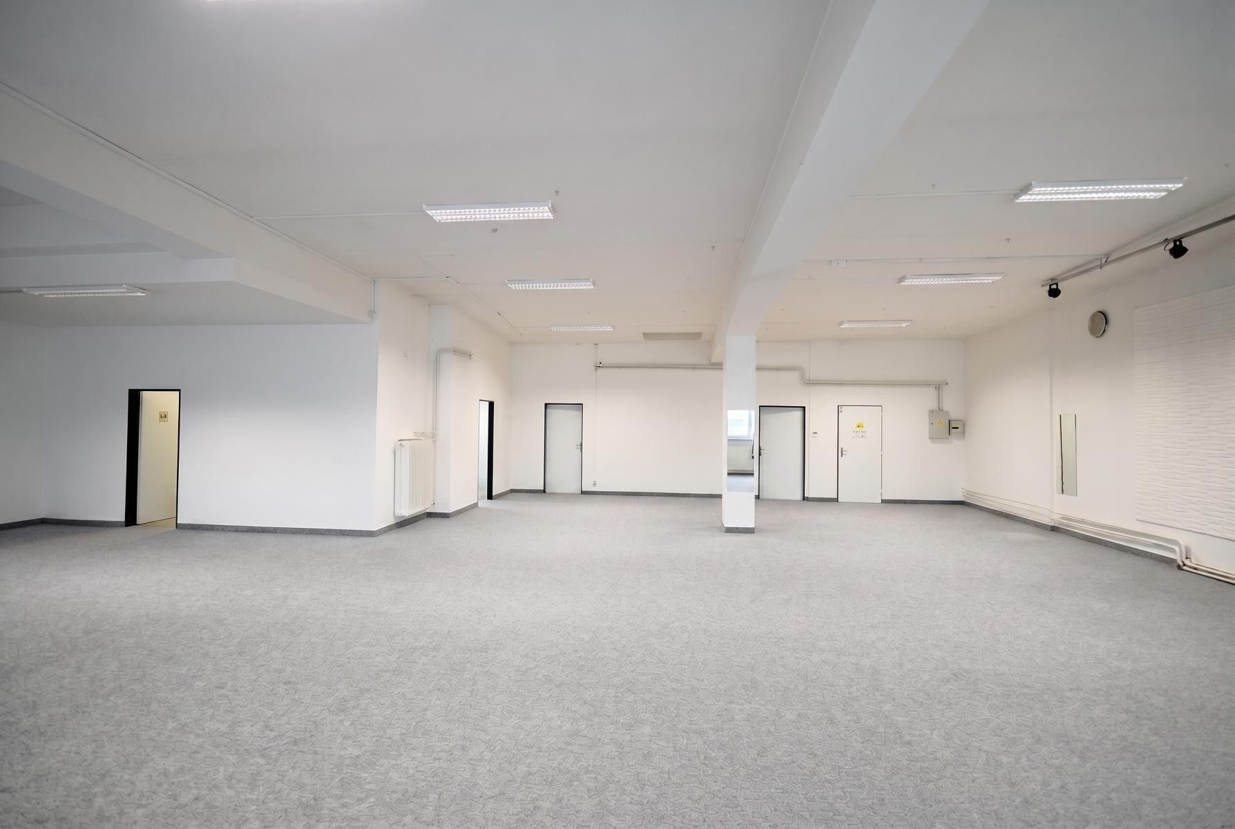 Pronájem komerčního prostoru 219 m² - foto 7
