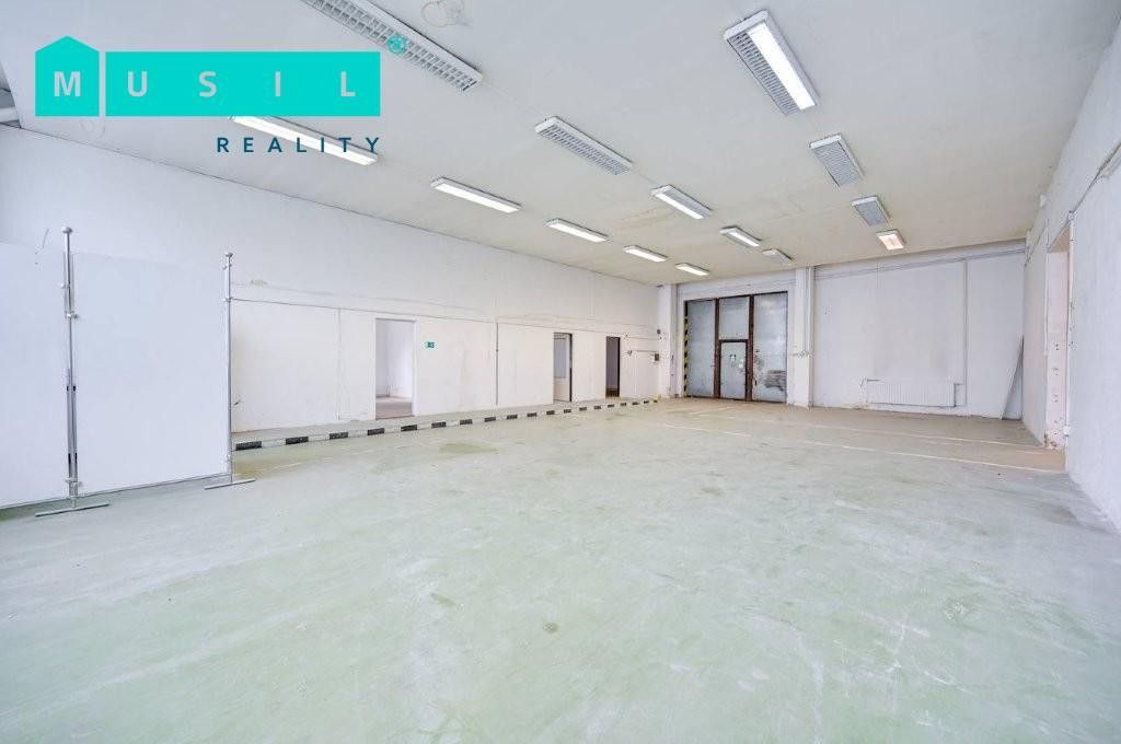Pronájem nemovitosti 542 m² - foto 8