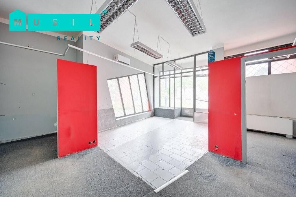 Pronájem nemovitosti 542 m² - foto 10