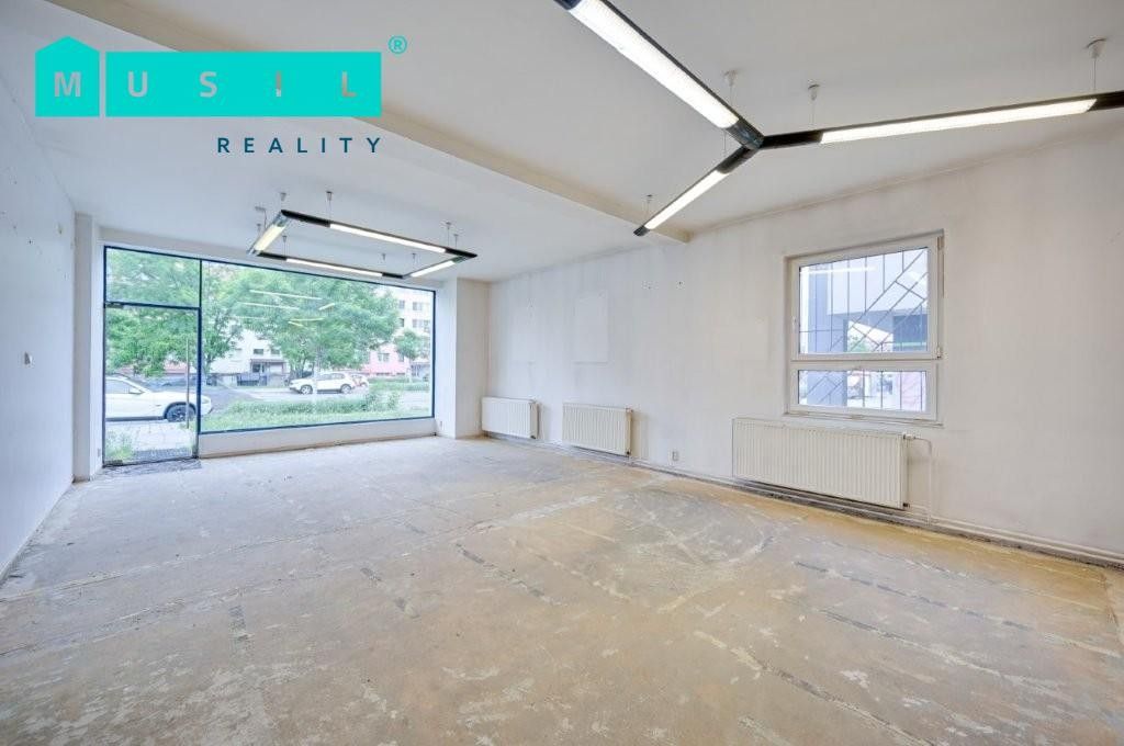 Pronájem nemovitosti 542 m² - foto 11