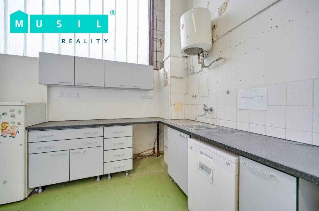Pronájem nemovitosti 542 m² - foto 9