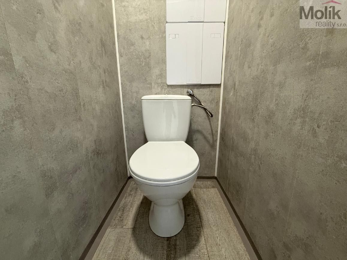 Pronájem bytu 2+1 55 m² - foto 11
