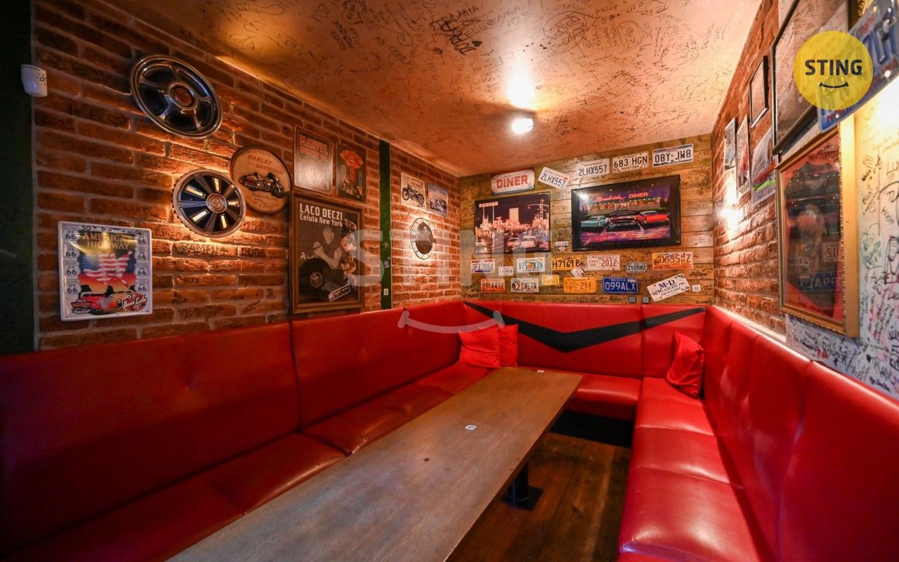 Pronájem komerčního prostoru 240 m² - foto 11