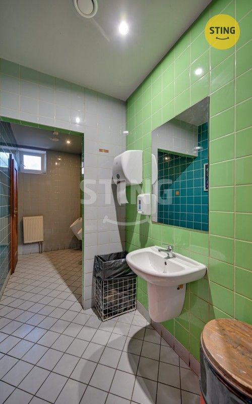 Pronájem komerčního prostoru 240 m² - foto 24