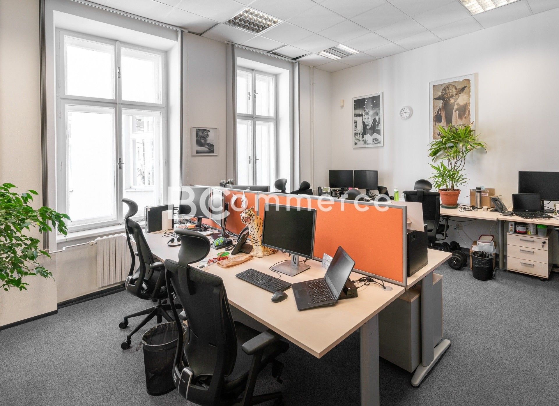 Pronájem komerčního prostoru 155 m² - foto 1