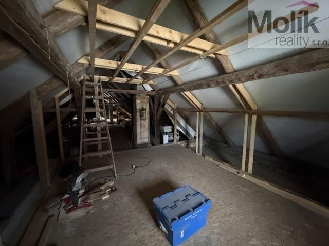 Prodej domu 542 m² - foto 25