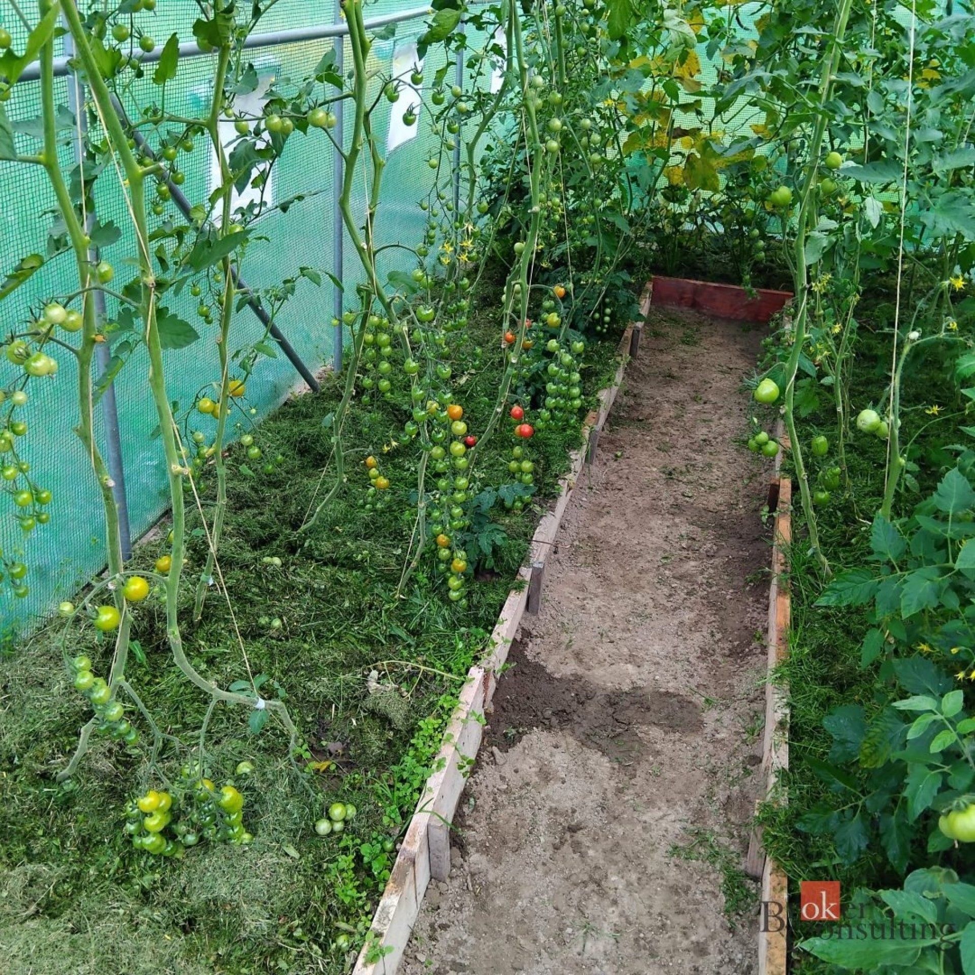 Prodej pozemku 350 m² - foto 10