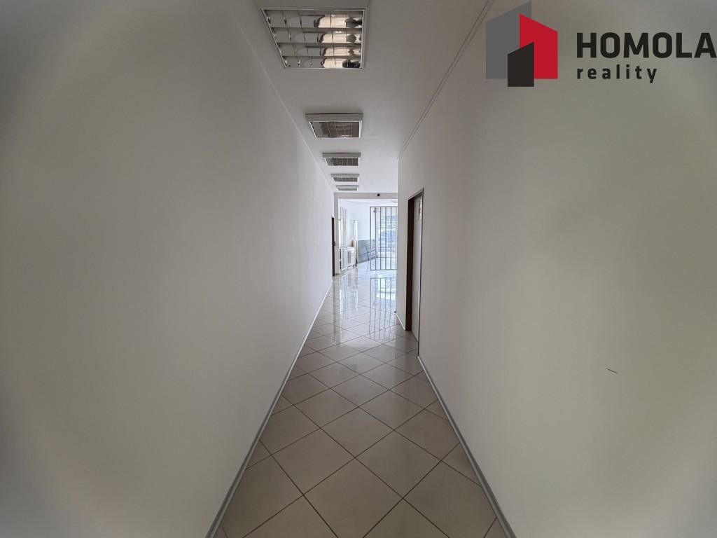Pronájem komerčního prostoru 96 m² - foto 9