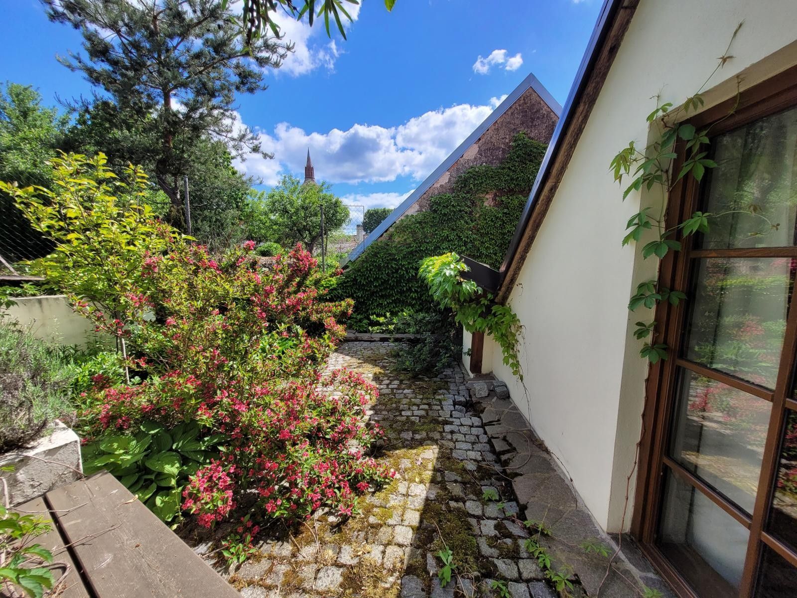 Prodej domu 164 m² - foto 5
