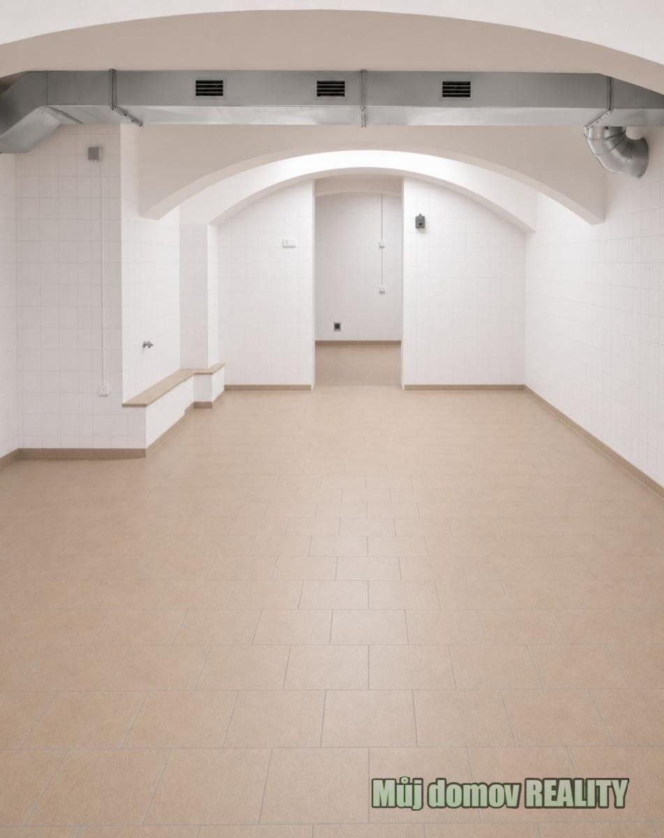 Pronájem komerčního prostoru 220 m² - foto 1