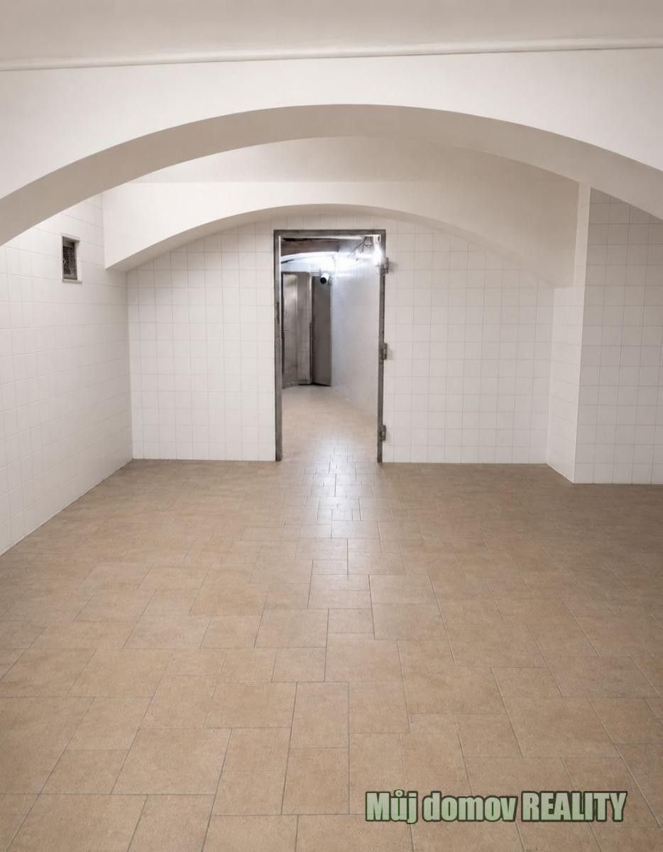 Pronájem komerčního prostoru 220 m² - foto 4