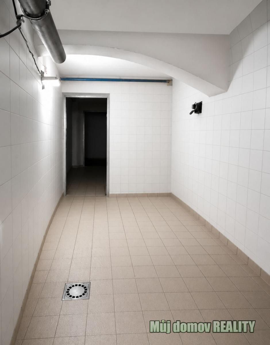 Pronájem komerčního prostoru 220 m² - foto 5
