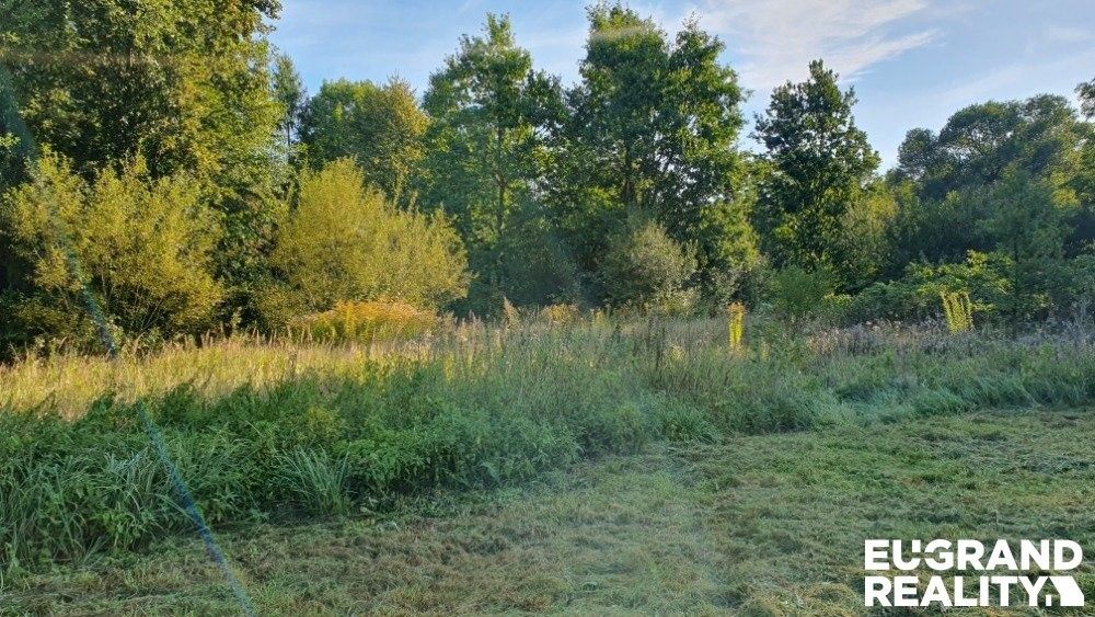 Prodej pozemku 2930 m² - foto 3