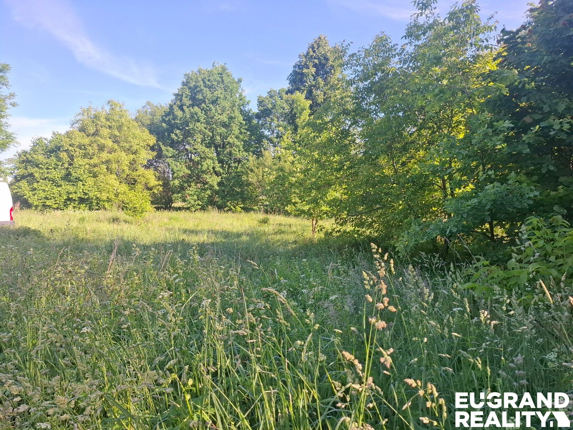 Prodej pozemku 2930 m² - foto 2
