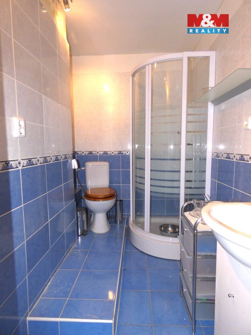 Pronájem komerčního prostoru 50 m² - foto 6