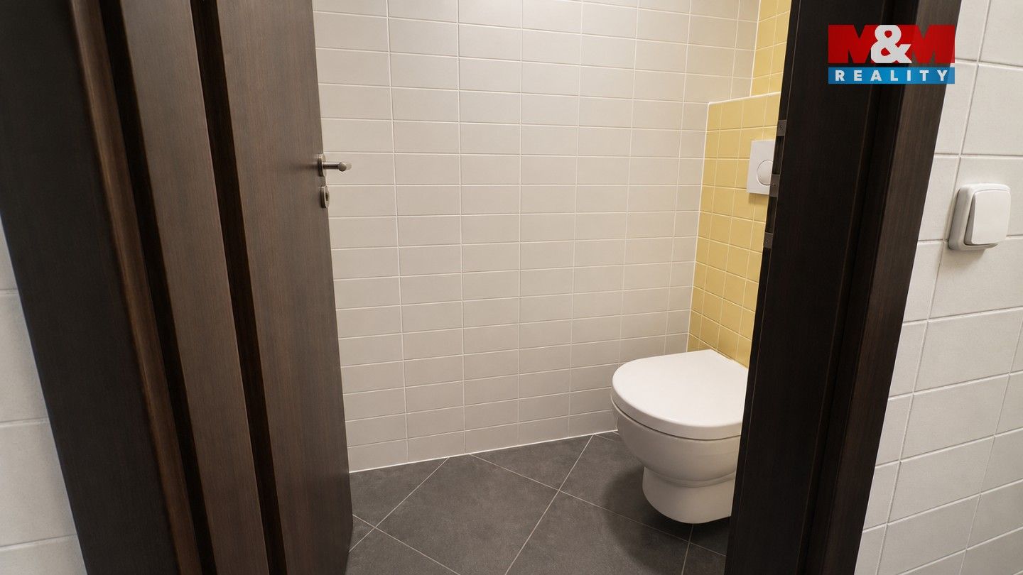 Pronájem komerčního prostoru 129 m² - foto 12