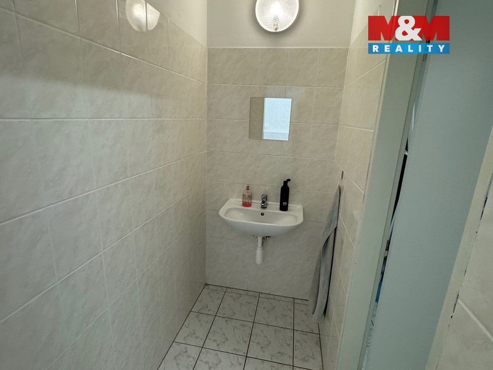 Pronájem komerčního prostoru 173 m² - foto 12
