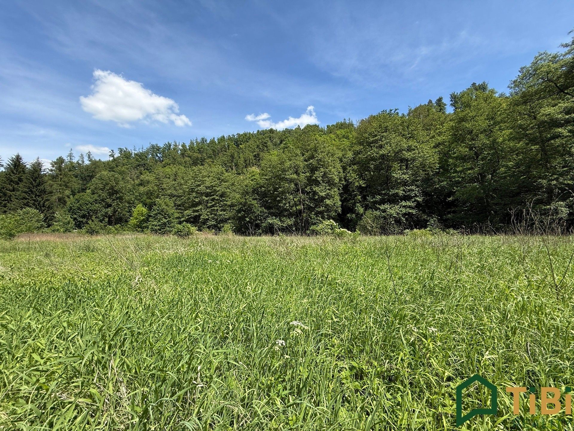 Prodej pozemku 3200 m² - foto 1