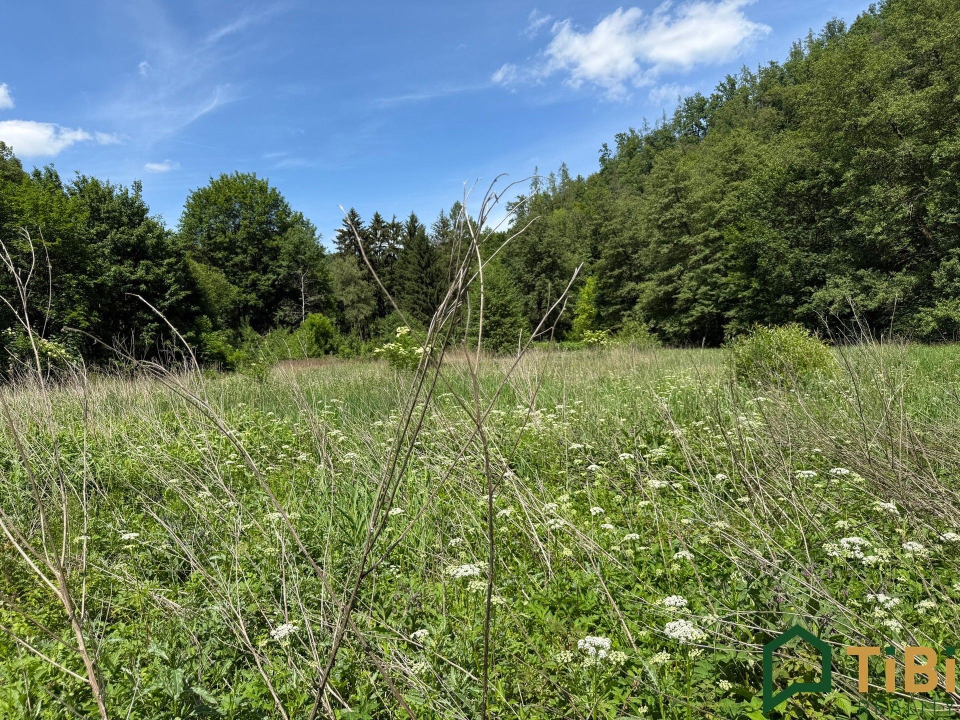 Prodej pozemku 3200 m² - foto 7