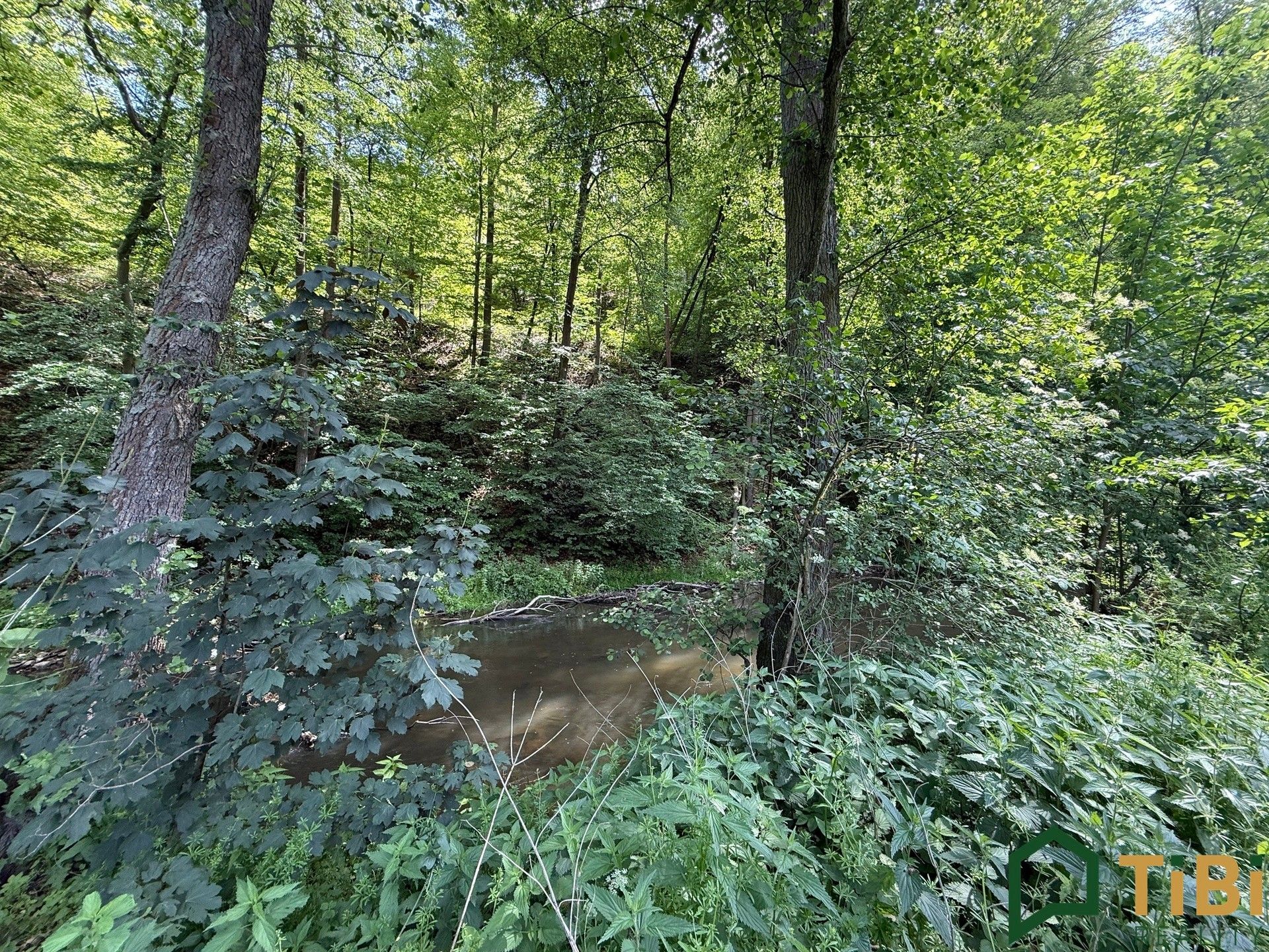 Prodej pozemku 3200 m² - foto 3