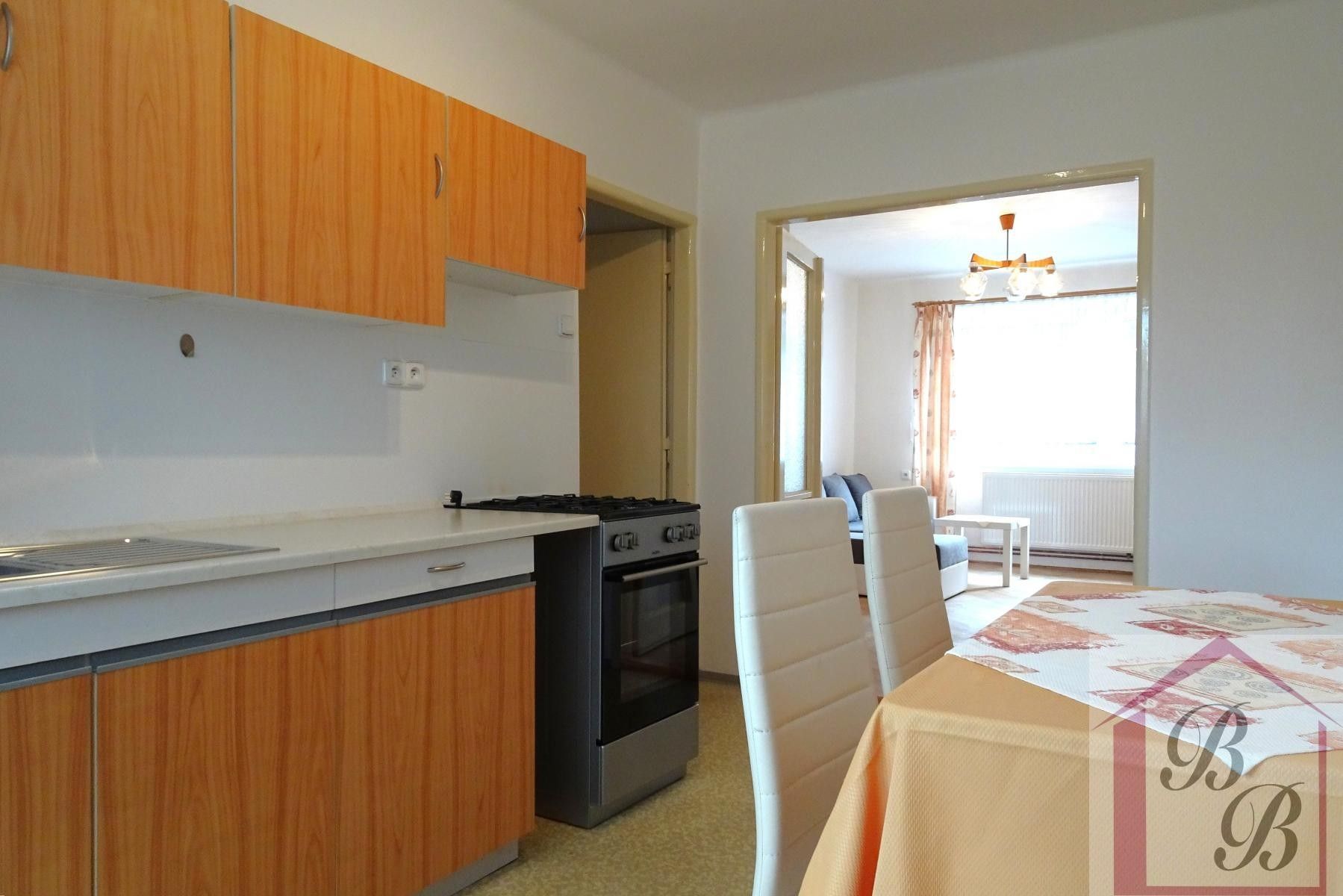 Pronájem bytu 2+1 49 m² - foto 11