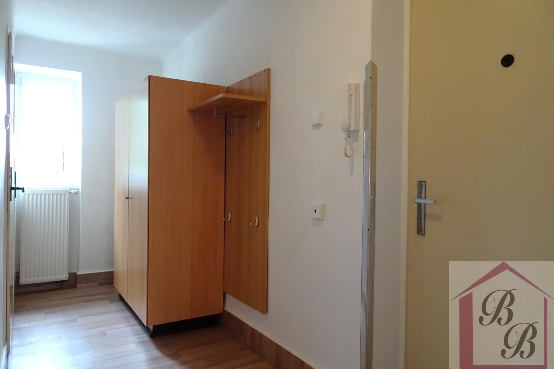 Pronájem bytu 2+1 49 m² - foto 12