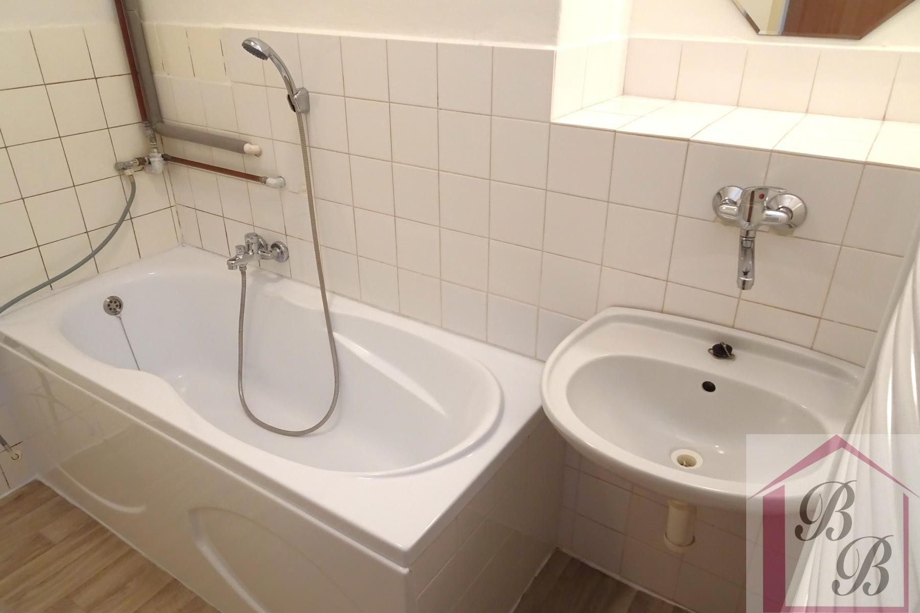 Pronájem bytu 2+1 49 m² - foto 13