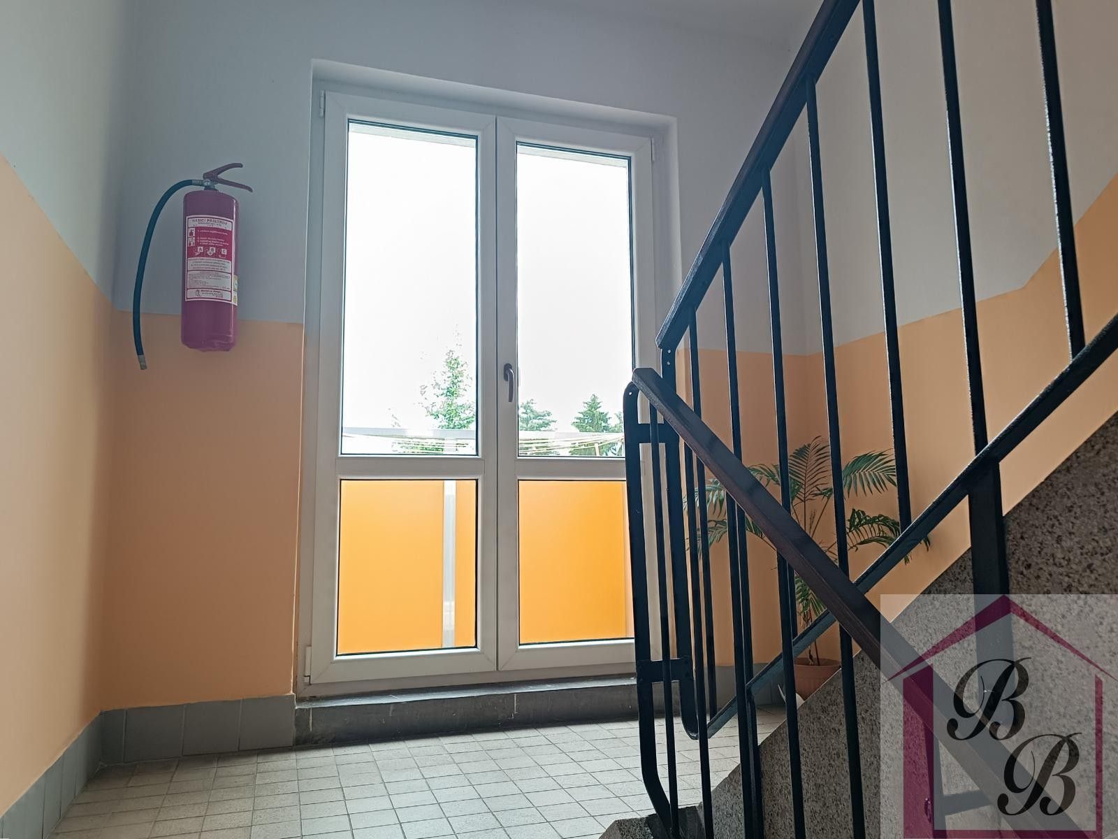 Pronájem bytu 2+1 49 m² - foto 15