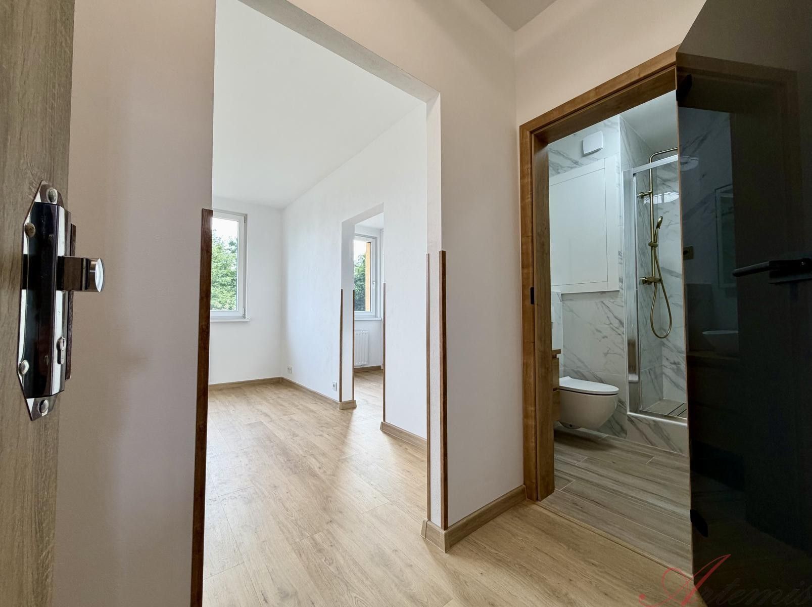 Pronájem bytu 2+1 45 m² - foto 3