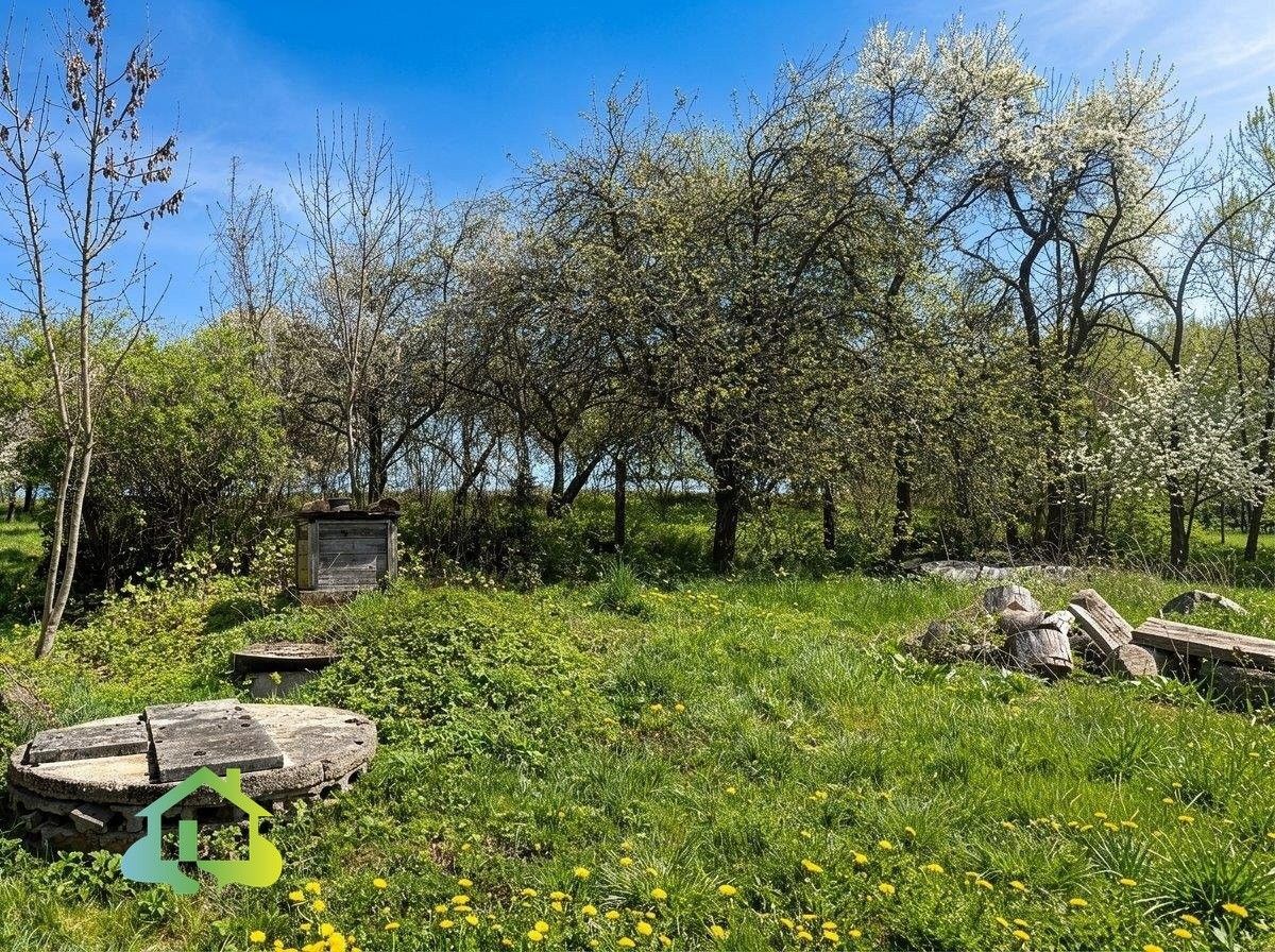 Prodej pozemku 1000 m² - foto 11