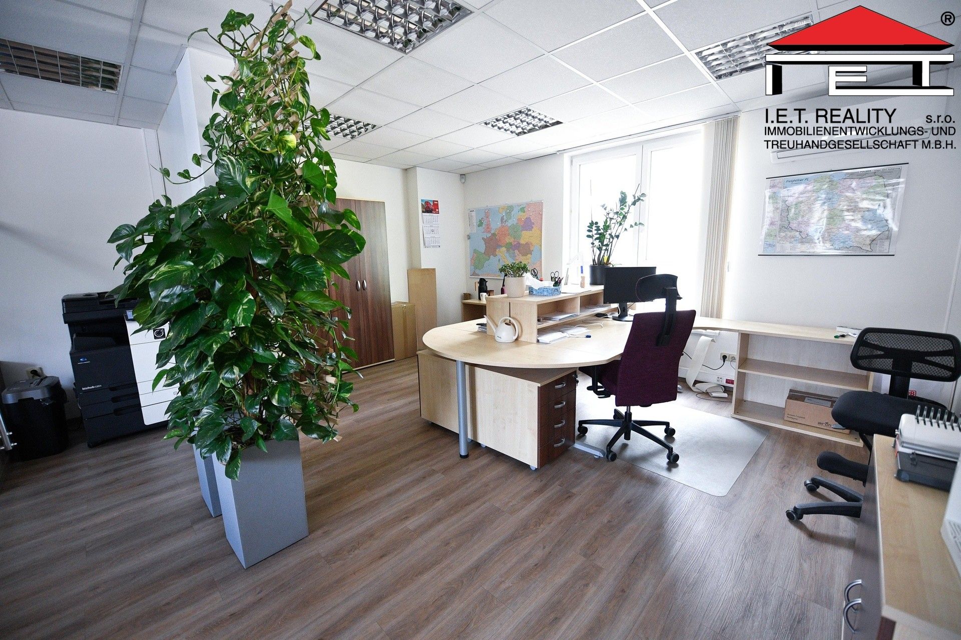 Prodej komerčního prostoru 1714 m² - foto 11