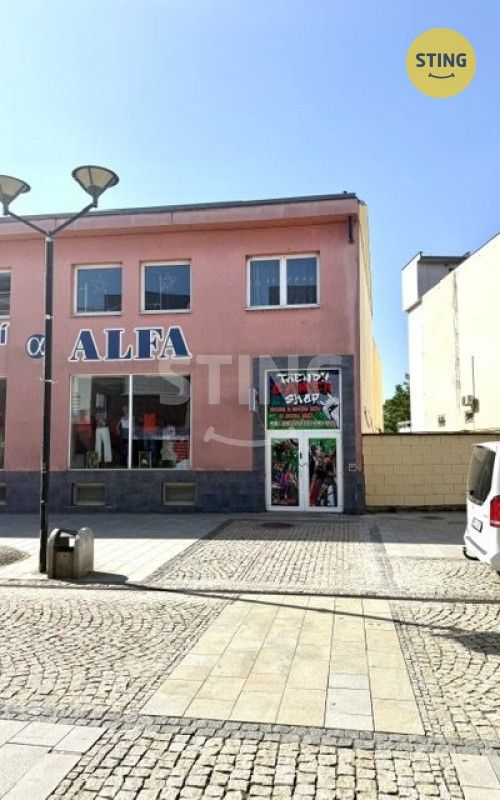 Pronájem komerčního prostoru 150 m² - foto 9