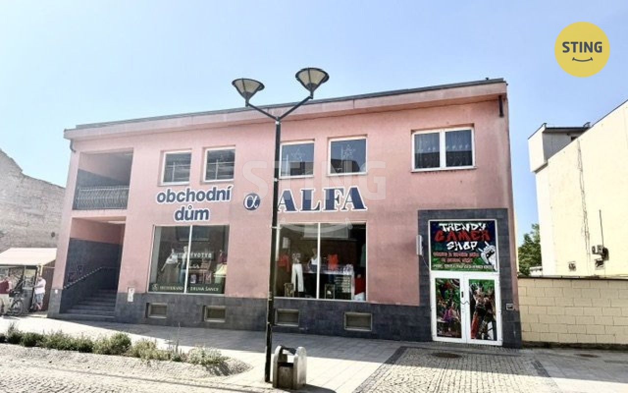 Pronájem komerčního prostoru 150 m² - foto 10