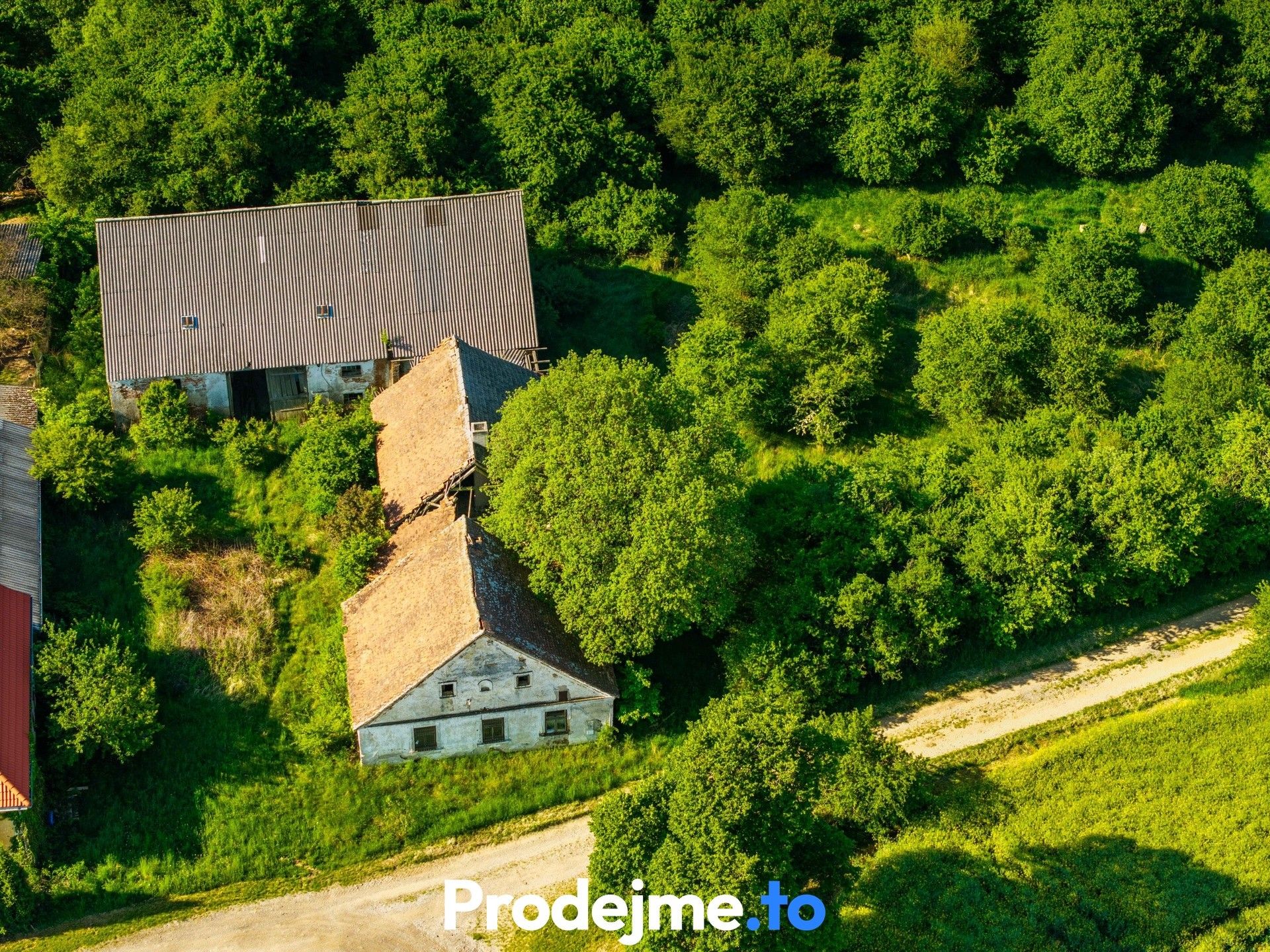 Prodej pozemku 16909 m² - foto 4