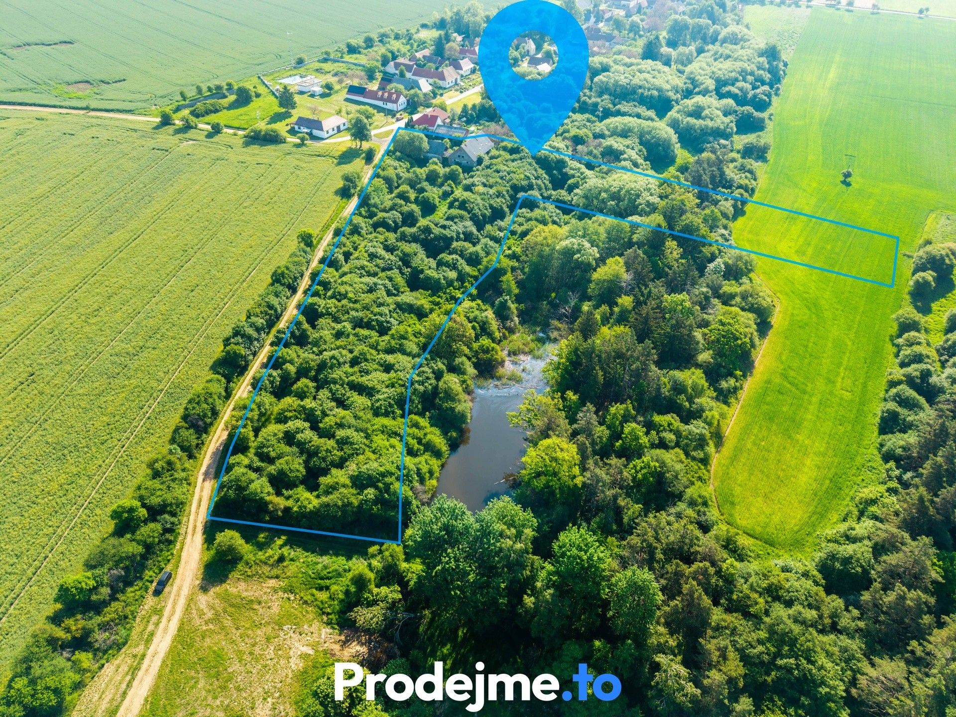 Prodej pozemku 16909 m² - foto 6