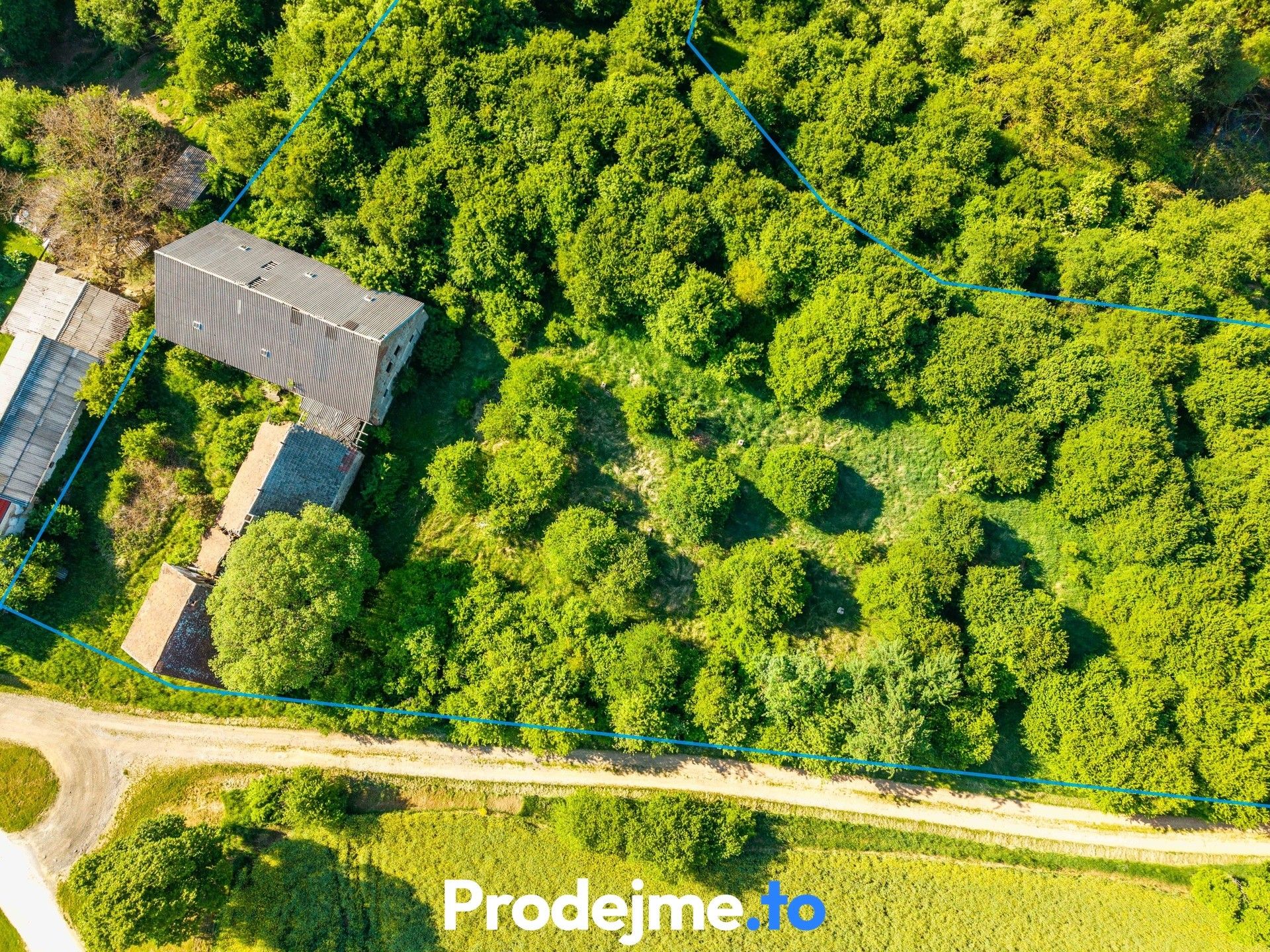 Prodej pozemku 16909 m² - foto 12