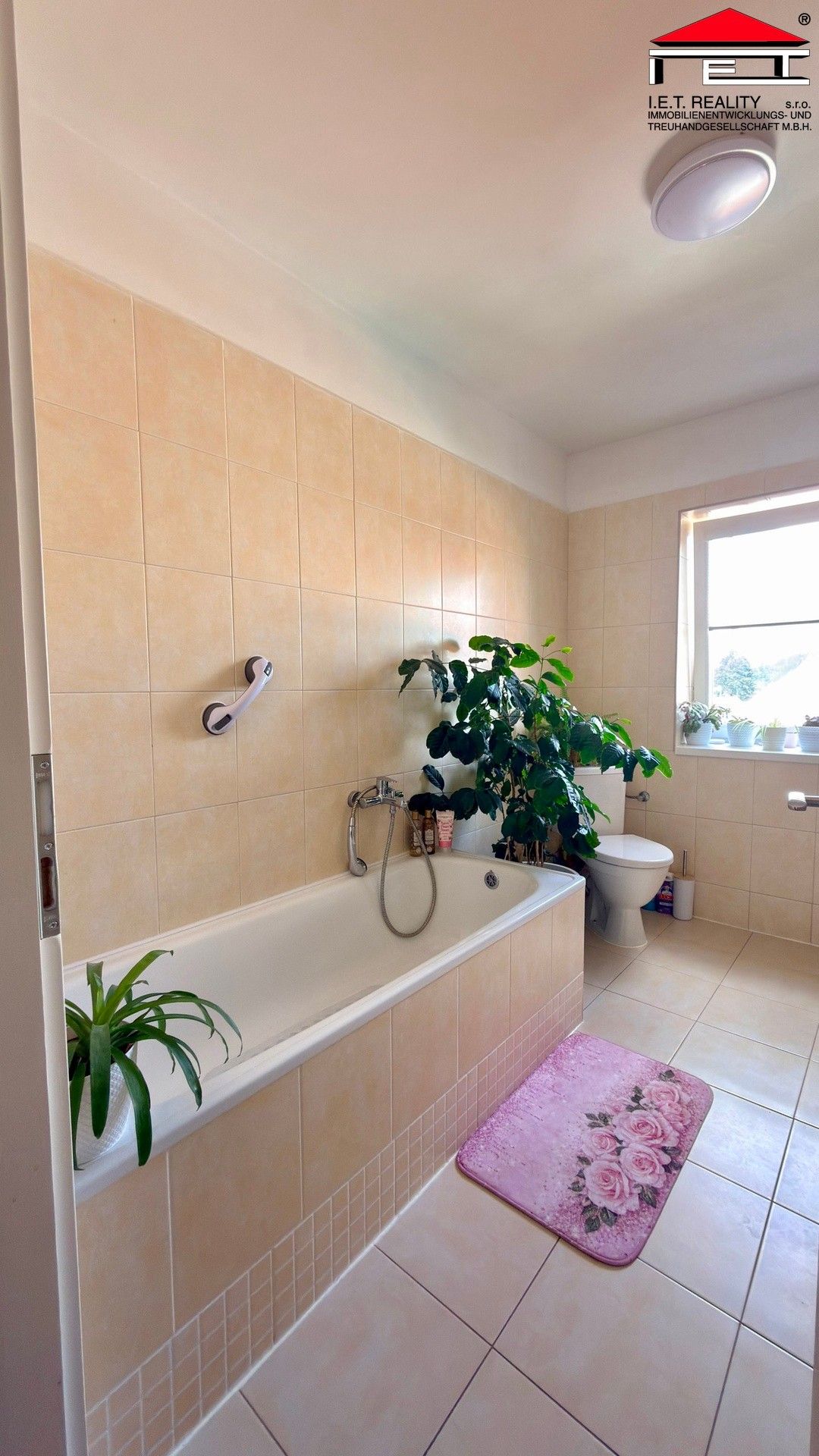 Prodej domu 303 m² - foto 15