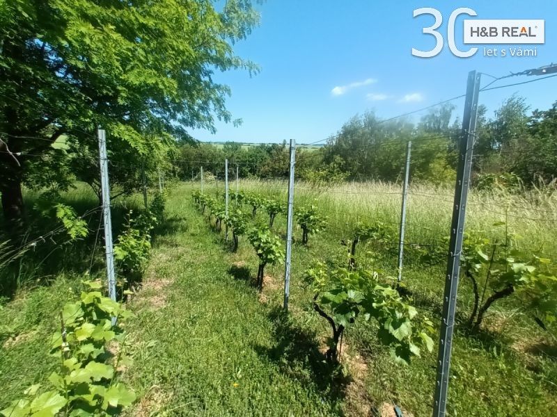 Prodej pozemku 1584 m² - foto 9