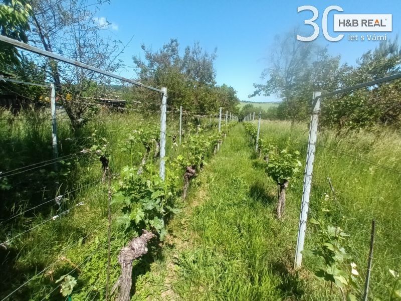 Prodej pozemku 1584 m² - foto 10