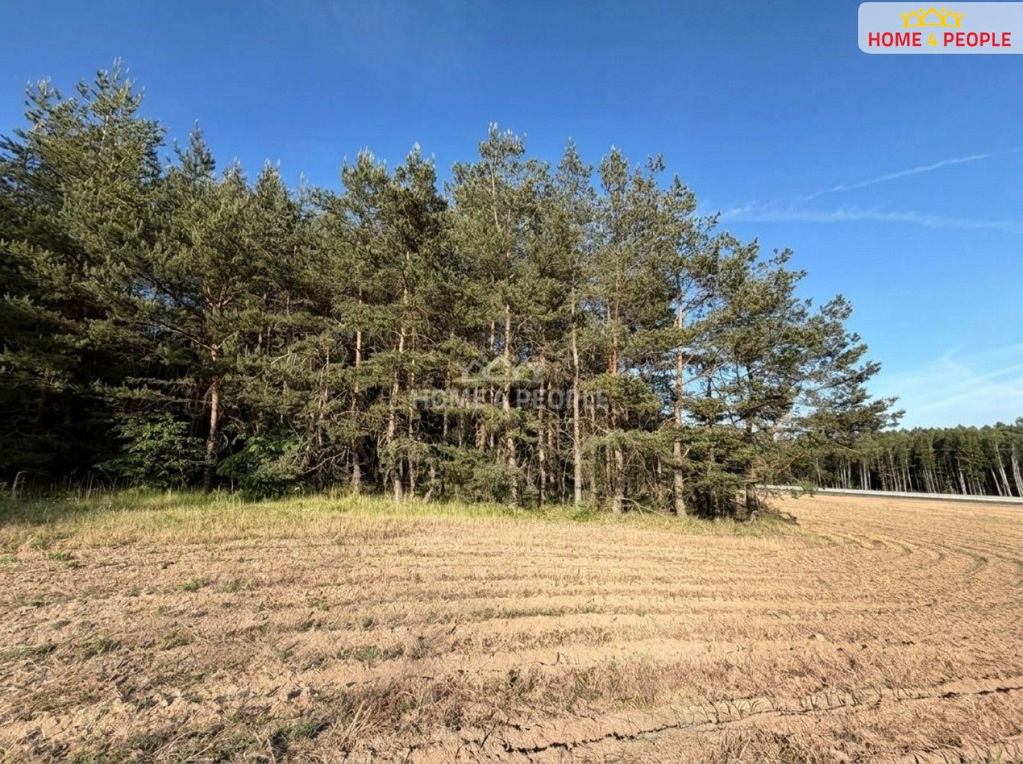 Prodej pozemku 4000 m² - foto 4