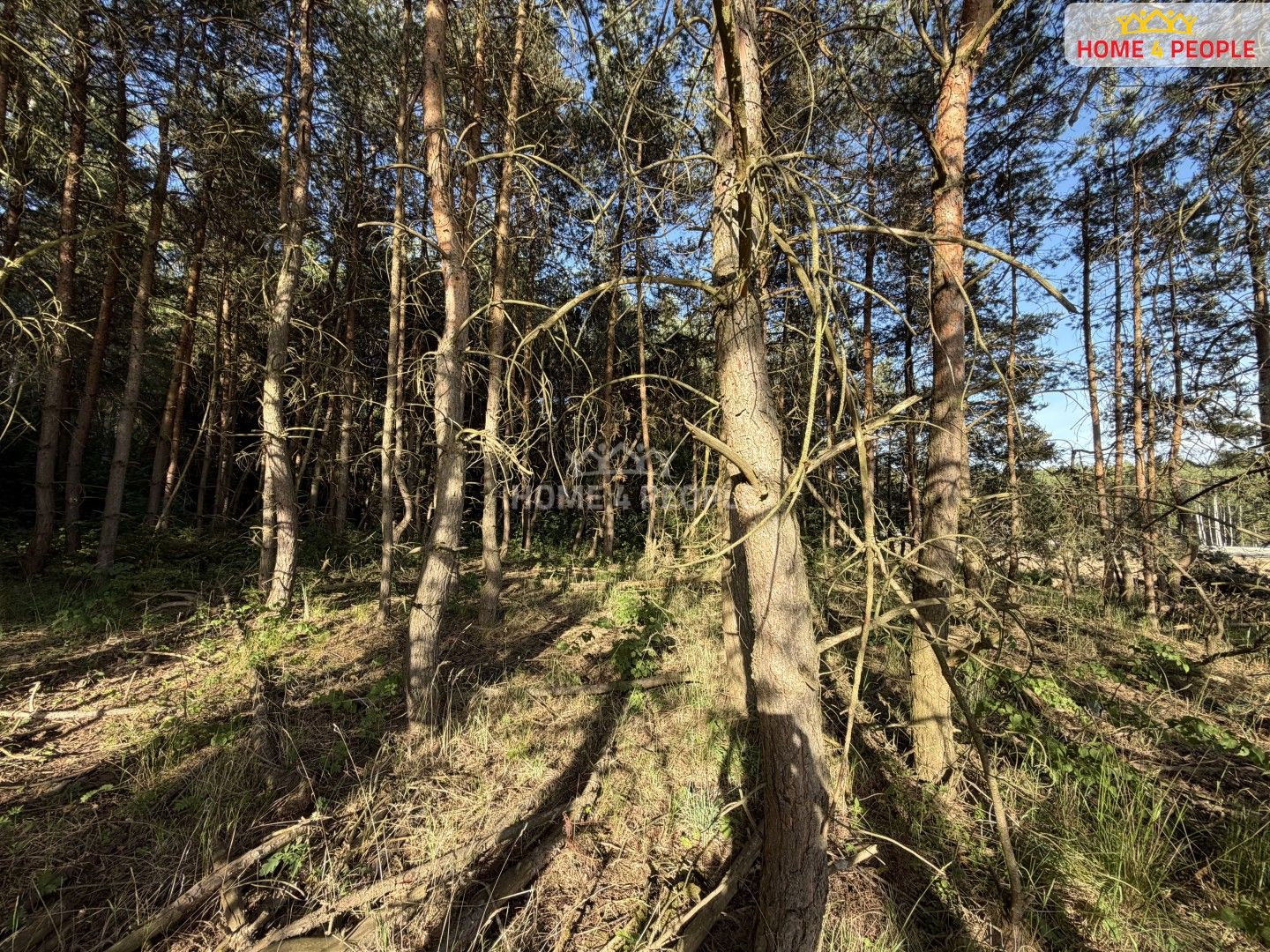 Prodej pozemku 4000 m² - foto 6