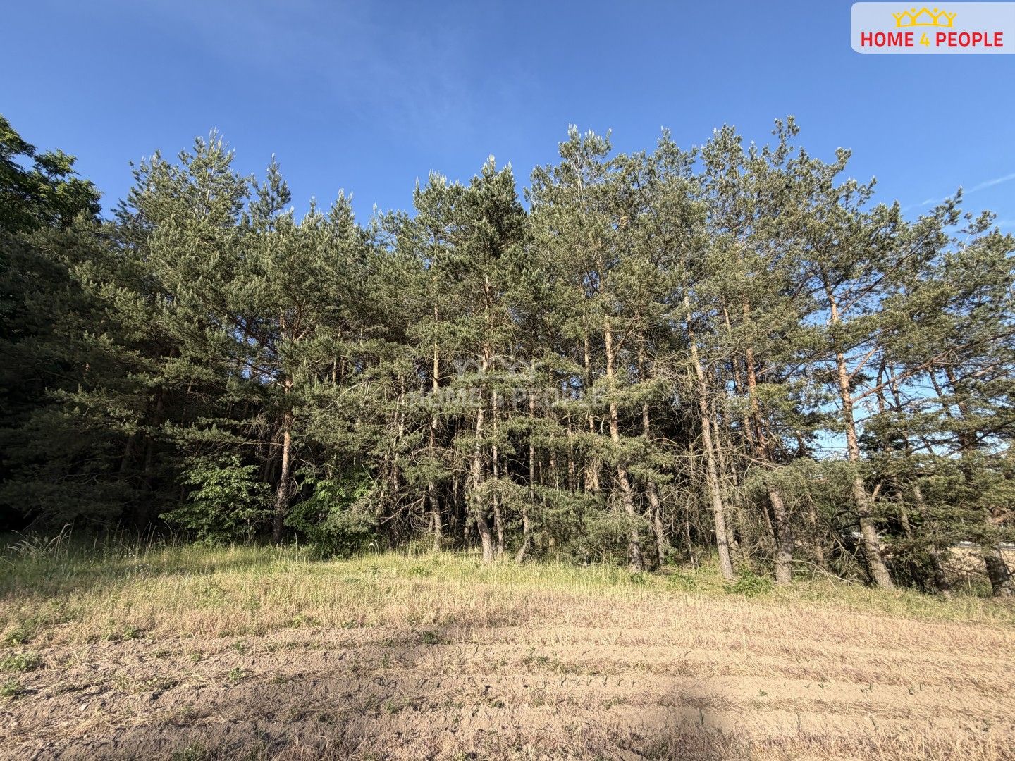 Prodej pozemku 4000 m² - foto 11