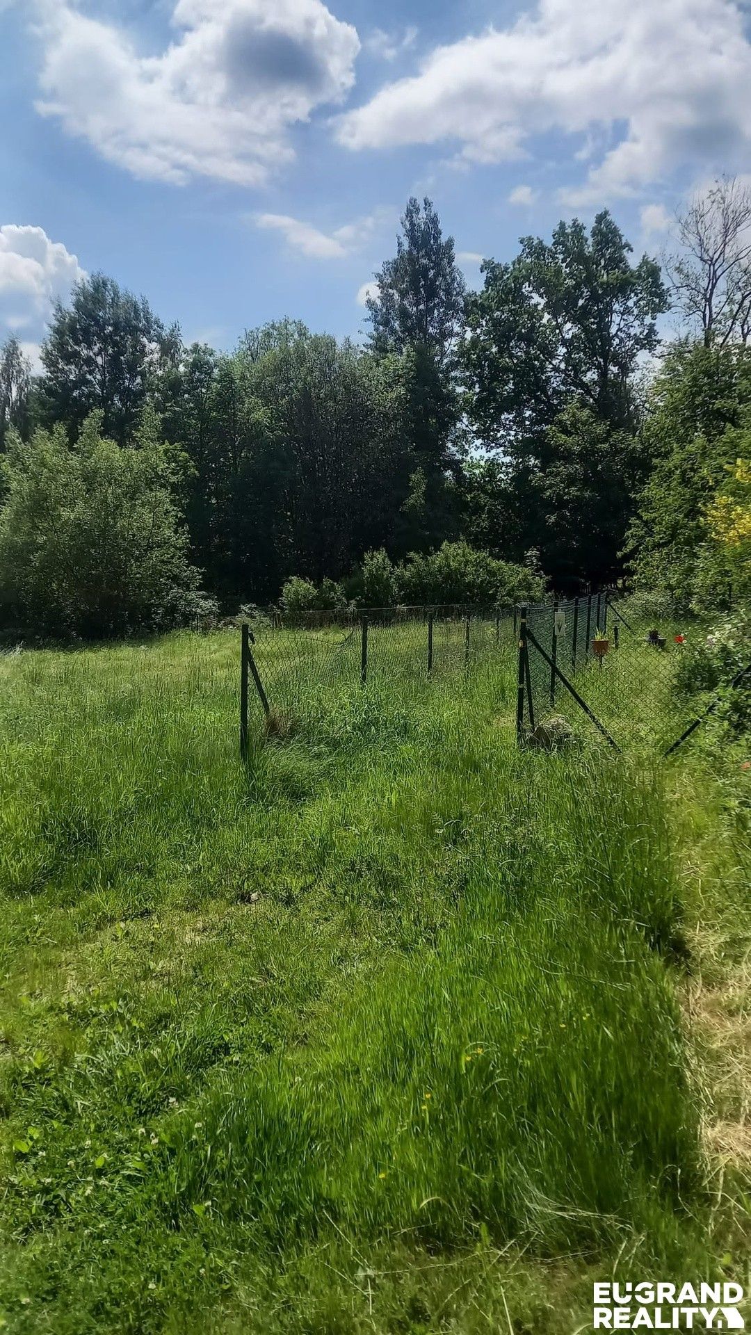 Prodej pozemku 1800 m² - foto 4