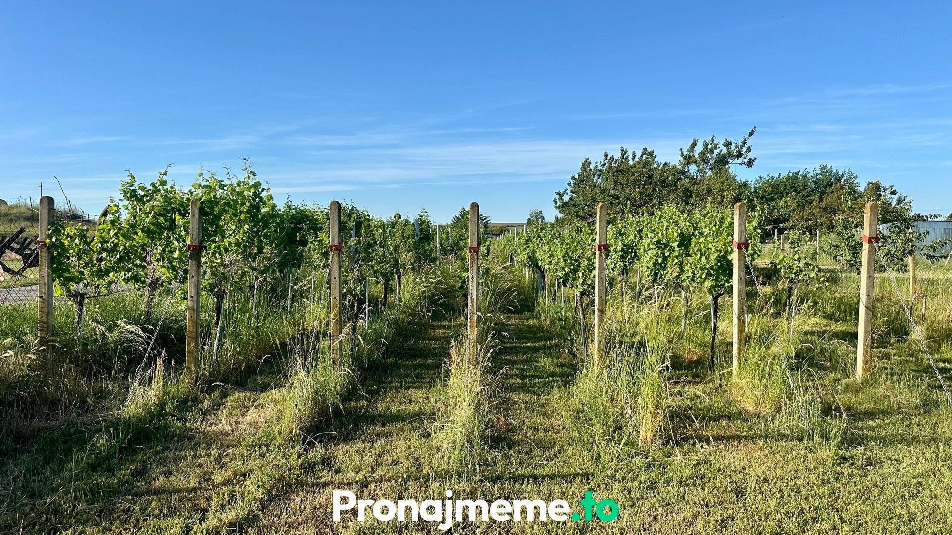 Pronájem nemovitosti 1759 m² - foto 4